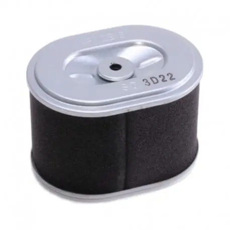 [BMG-N001003] Filtro Aire GX160